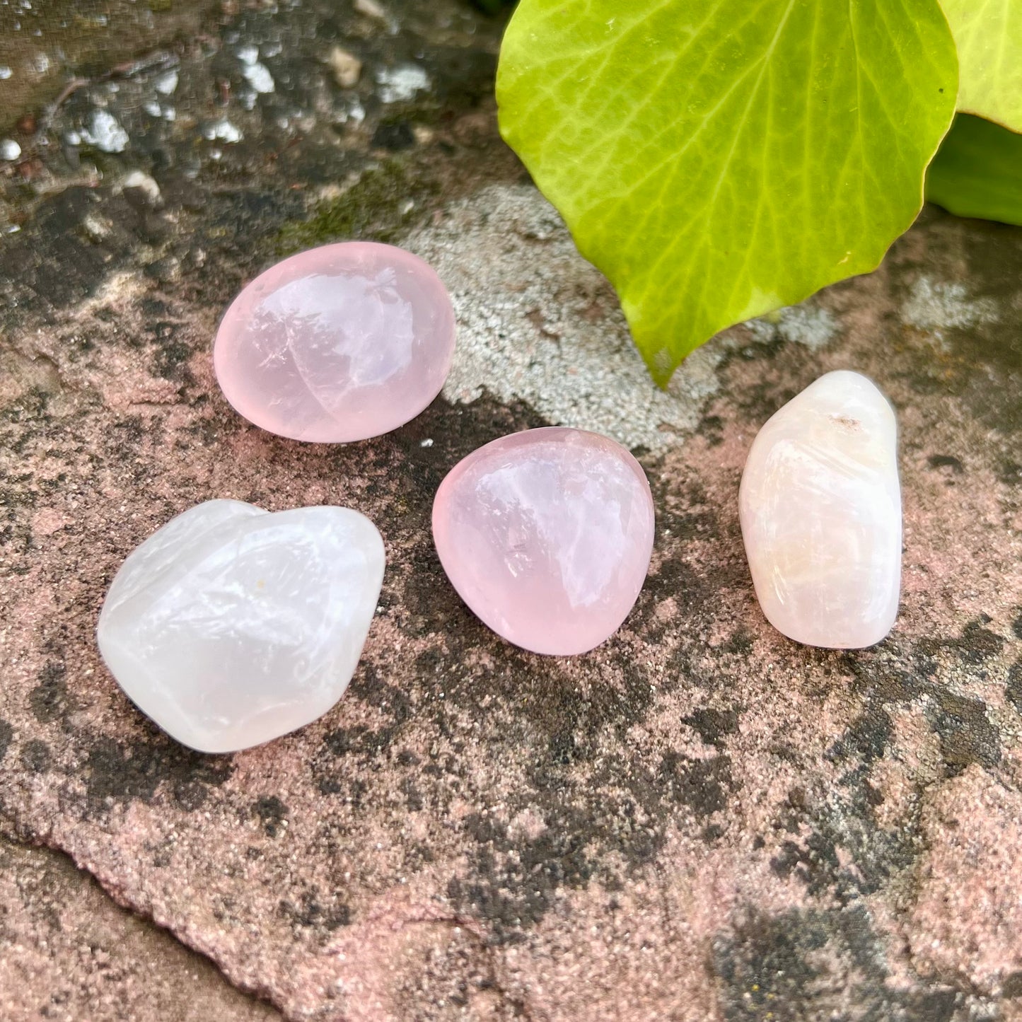 ROSENQUARZ Trommelstein